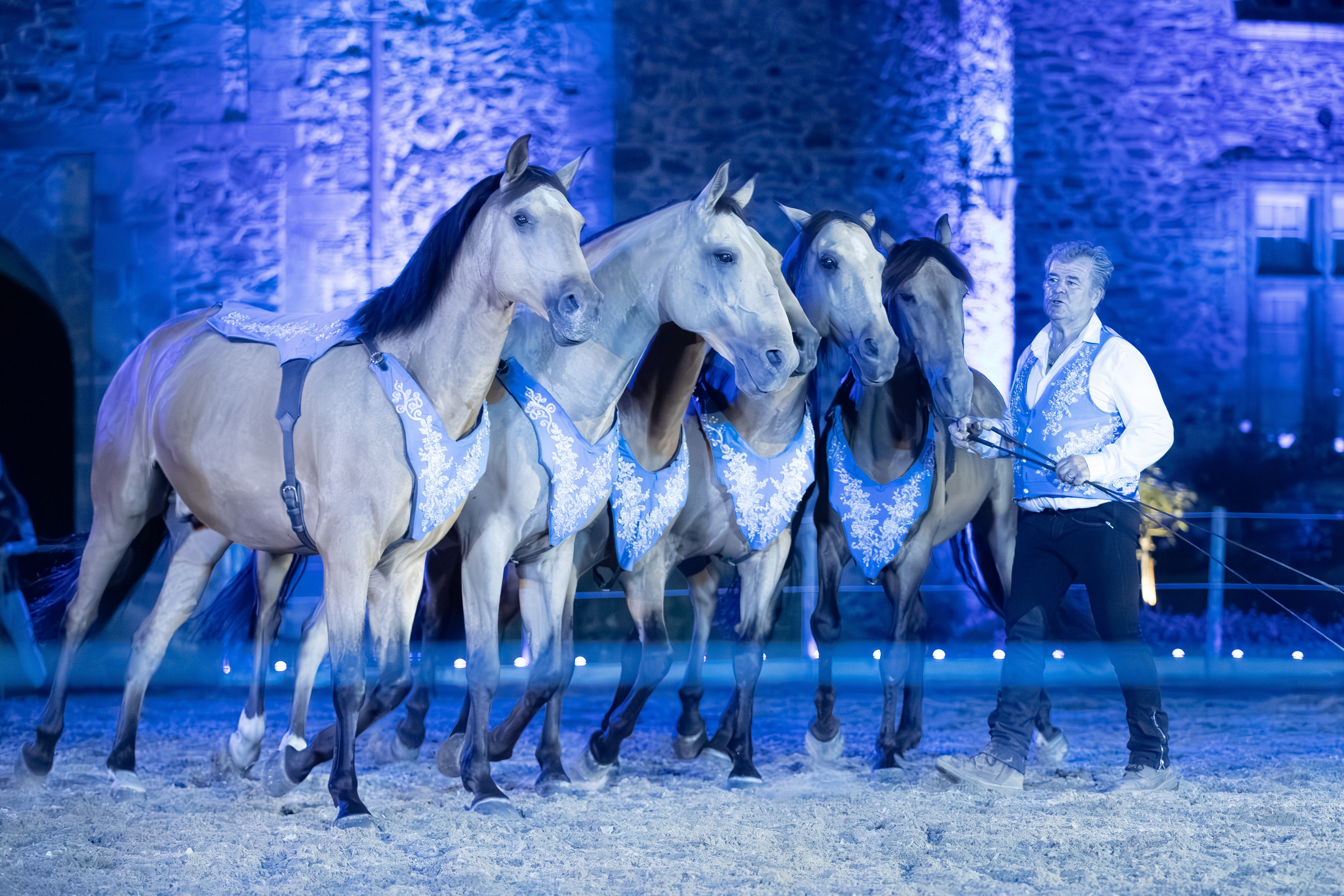 Spectacles équestres